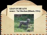 Lean On Me Levi